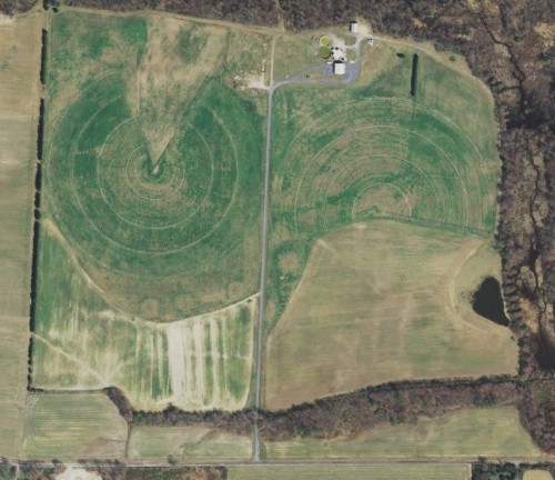 TallbotWorks_MarkCPerna